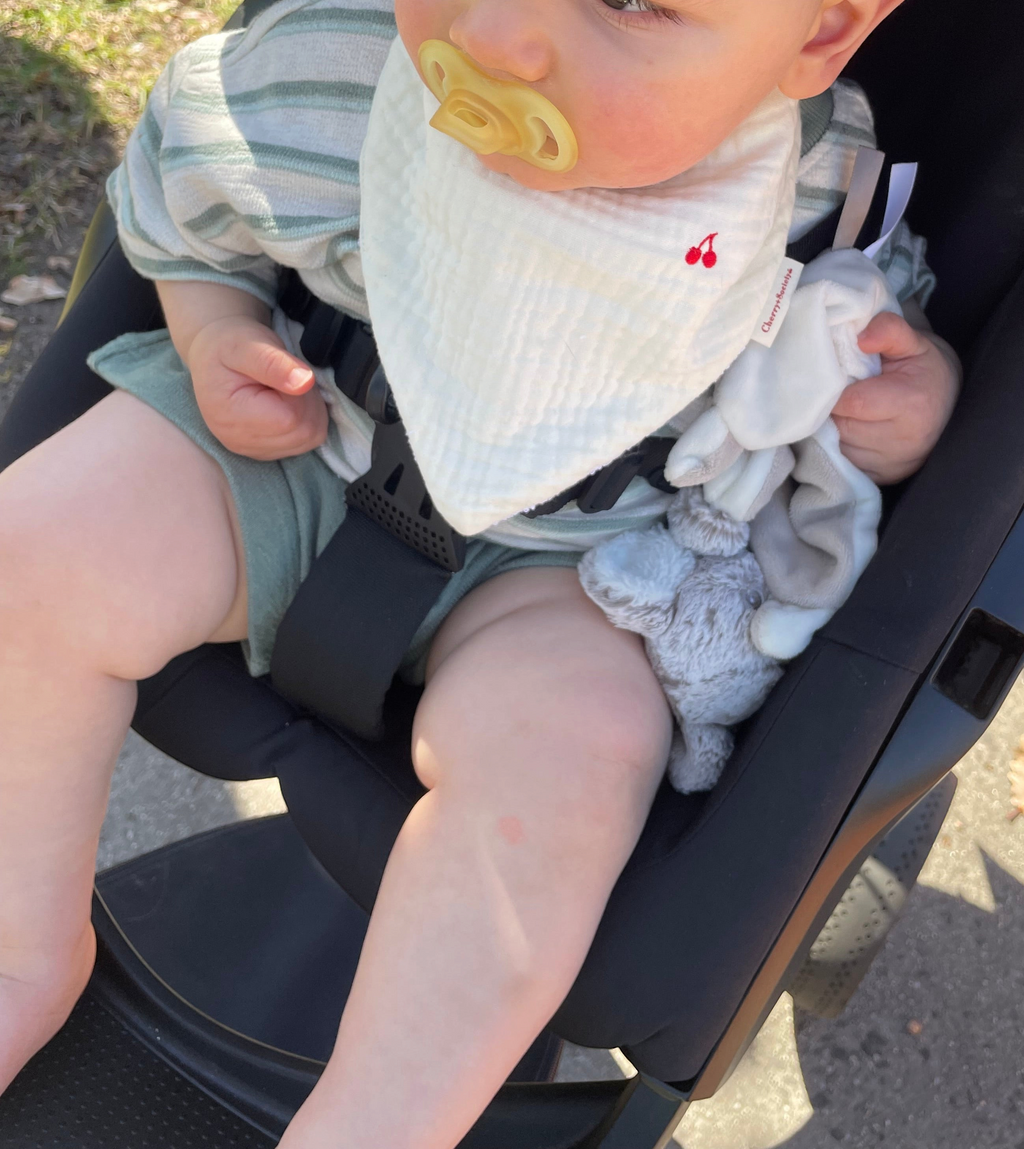 The Vanilla Bib
